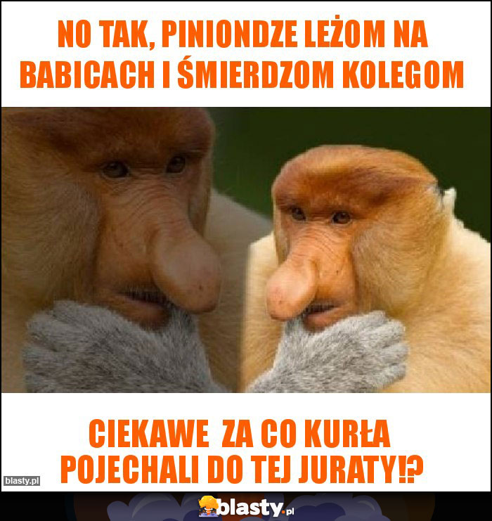 No tak, piniondze leżom na babicach i śmierdzom kolegom