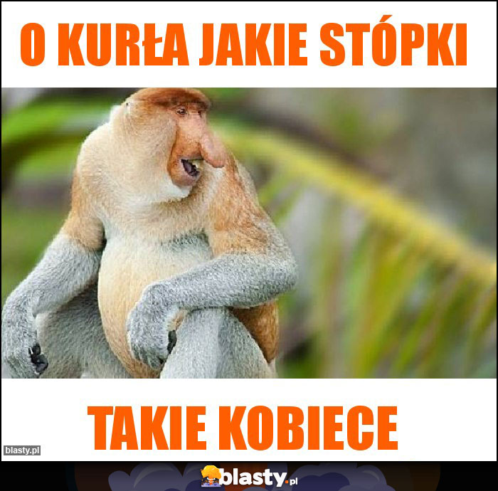 O kurła jakie stópki