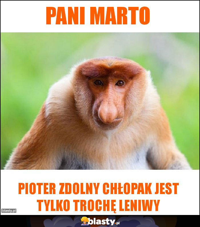 Pani Marto