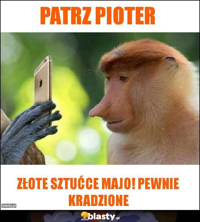 Patrz pioter