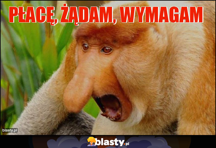 Płacę, żądam, wymagam