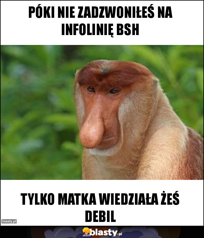 Póki nie zadzwoniłeś na infolinię BSH