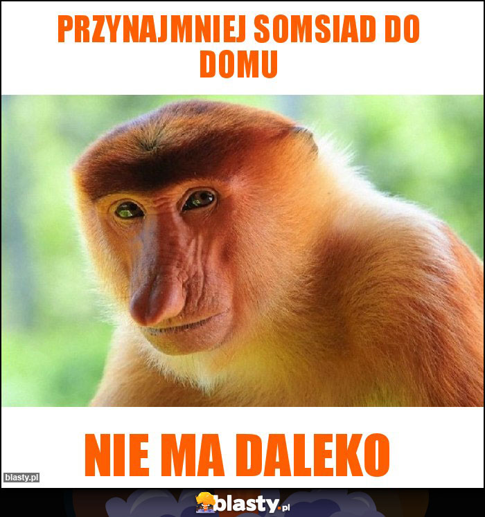 Przynajmniej somsiad do domu