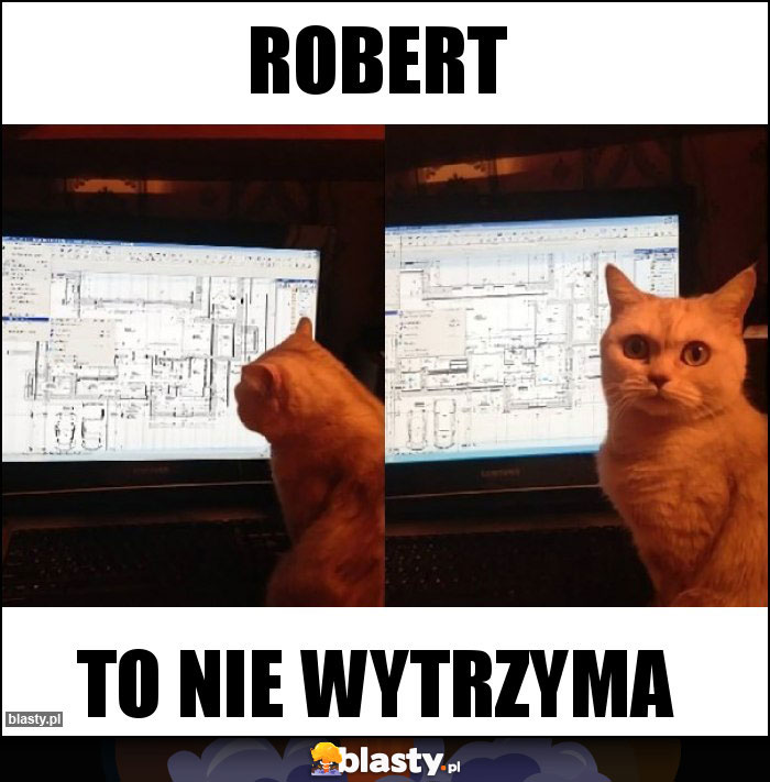 Robert