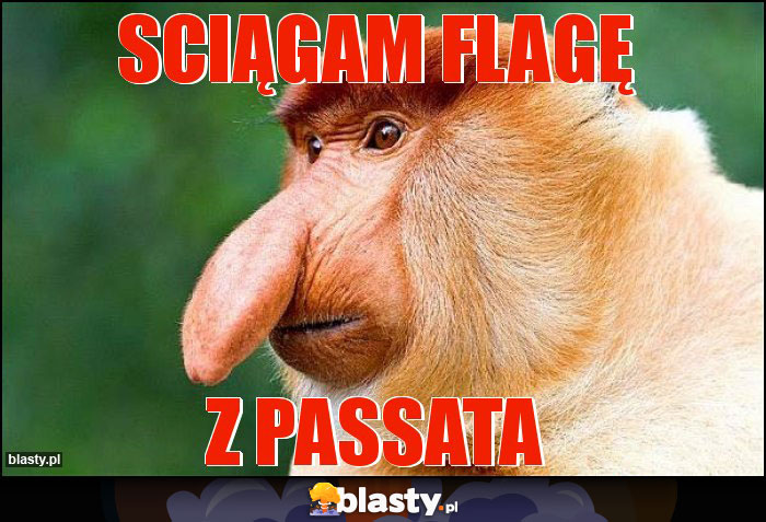 Sciągam flagę