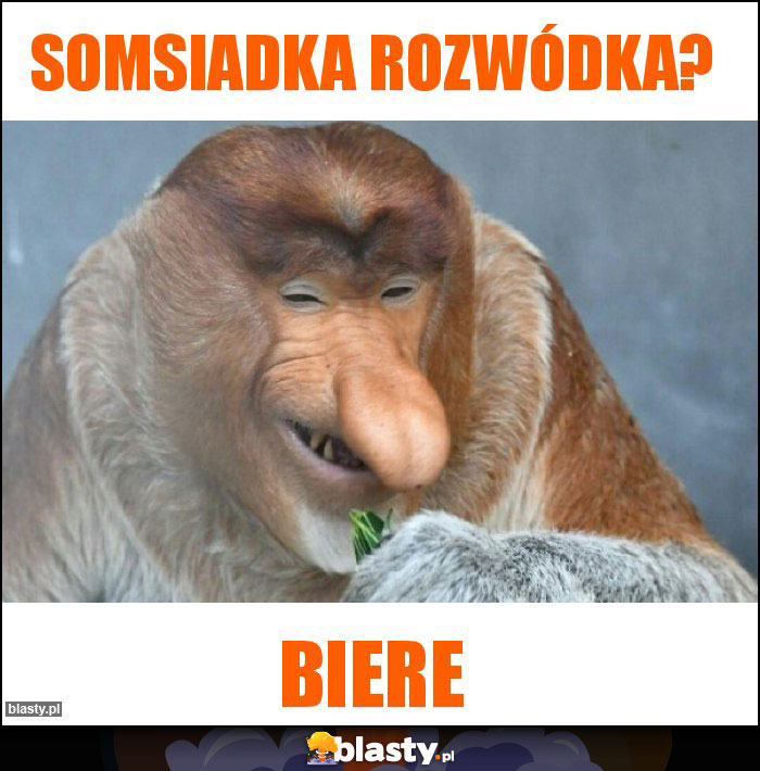 SOMSIADKA ROZWÓDKA?