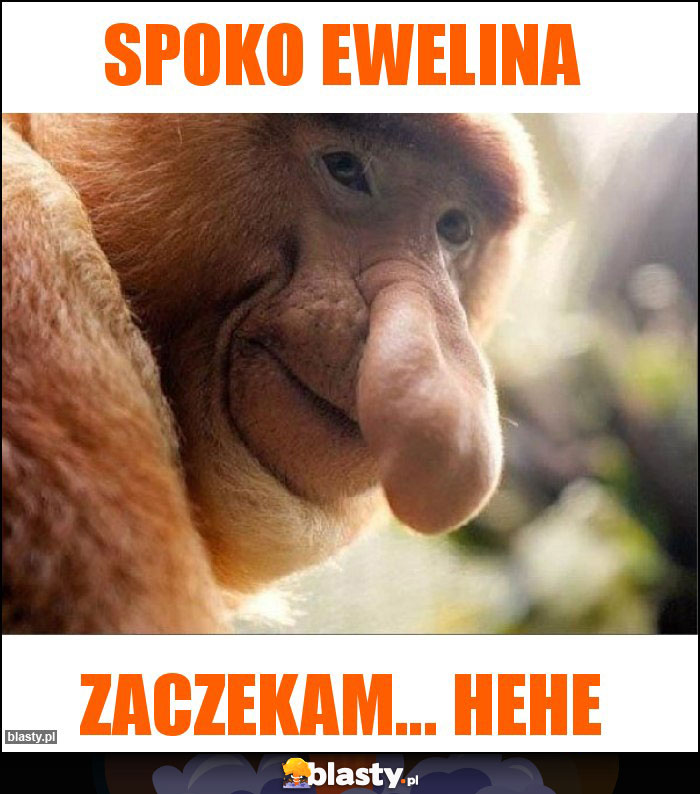 spoko ewelina