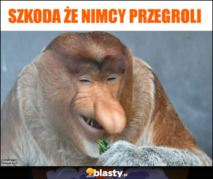 Szkoda że nimcy przegroli