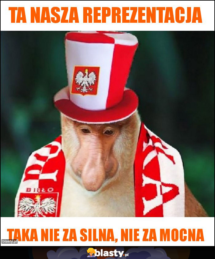 Ta nasza reprezentacja