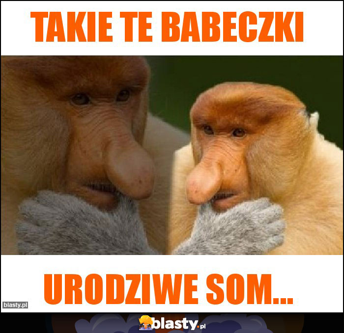 Takie te babeczki