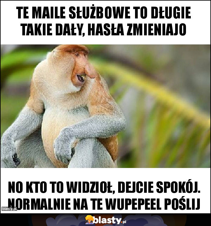 Te maile służbowe to długie takie dały, hasła zmieniajo