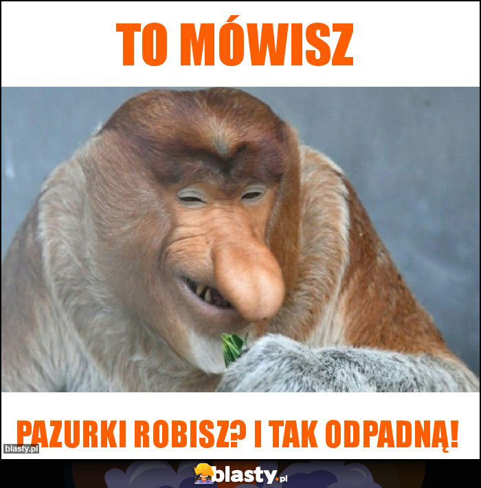 To mówisz