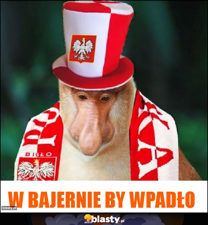 W Bajernie by wpadło