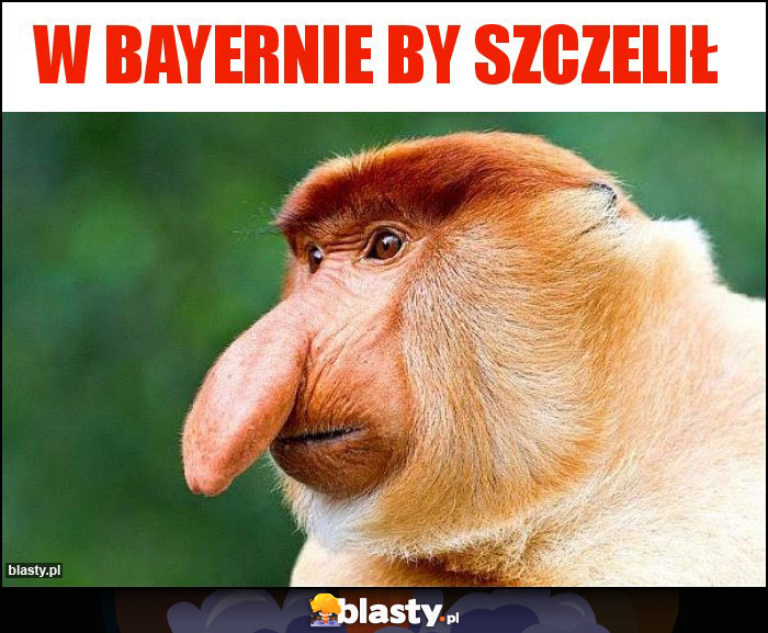 W Bayernie by szczelił