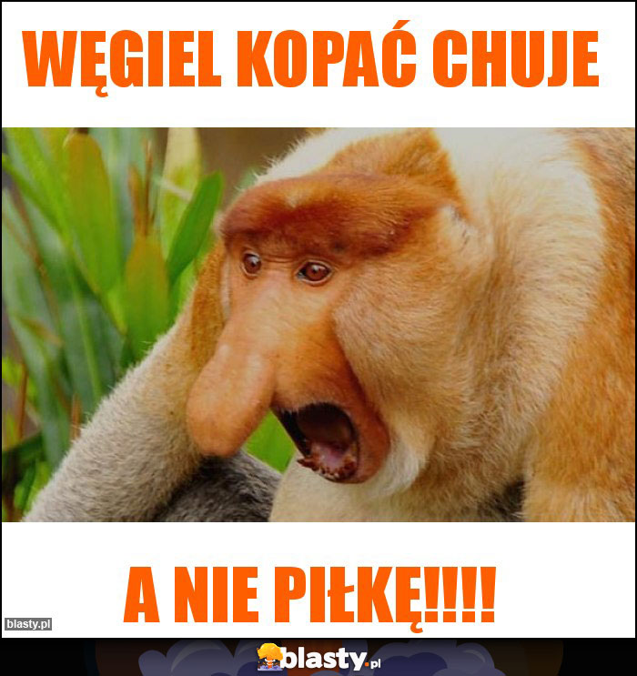 Węgiel kopać chuje