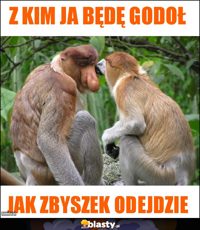 Z kim ja będę godoł