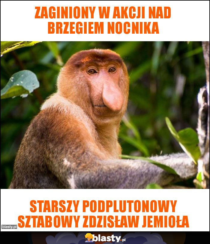 Zaginiony w akcji nad brzegiem nocnika