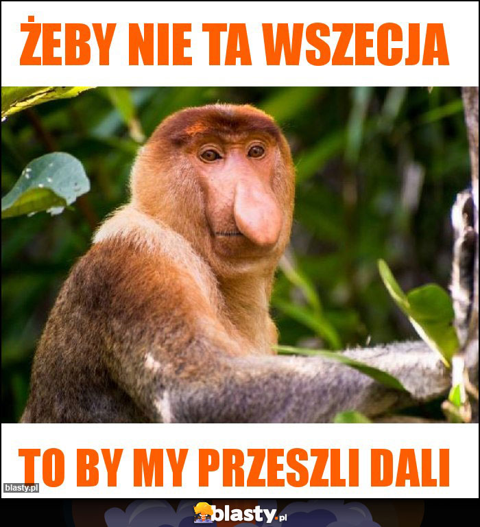 Żeby nie ta wszecja