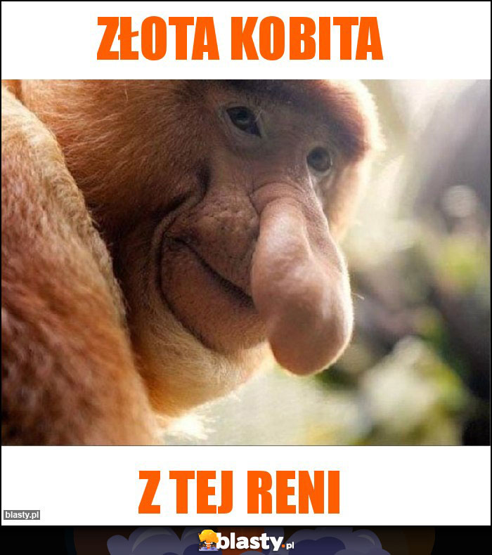 ZŁOTA KOBITA