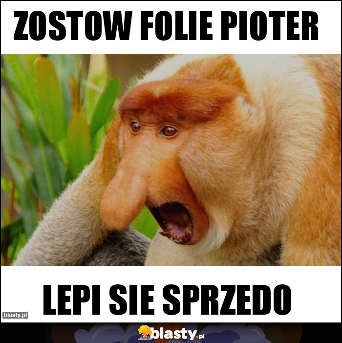 Zostow folie Pioter