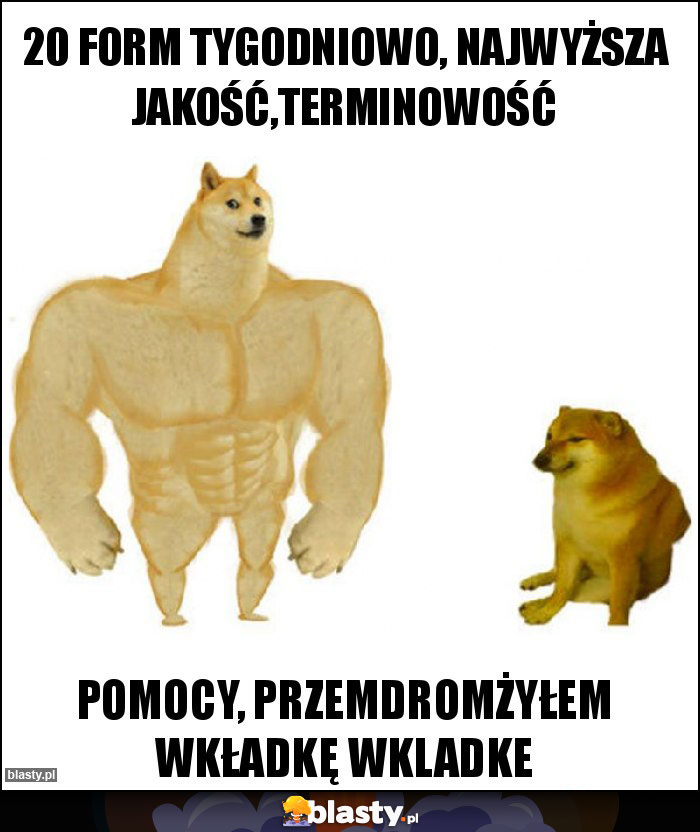 20 form tygodniowo, najwyższa jakość,terminowość