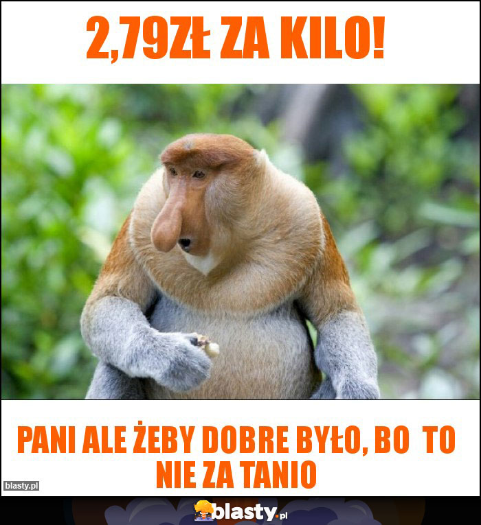 2,79zł za kilo!