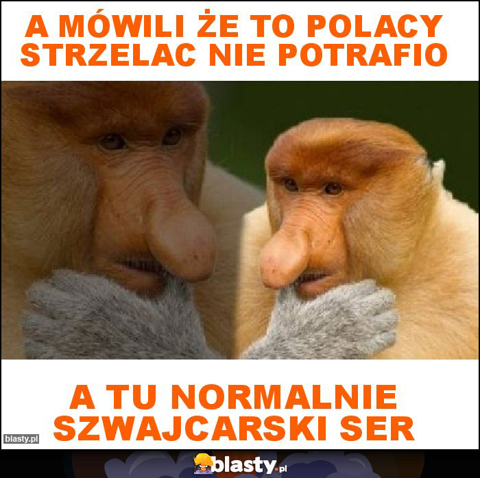 A mówili że to polacy strzelac nie potrafio