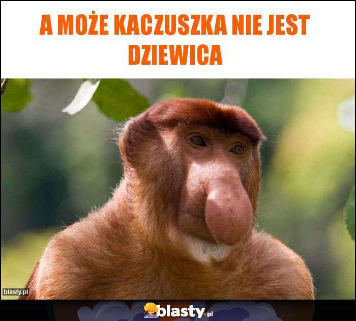 A może Kaczuszka nie jest dziewica