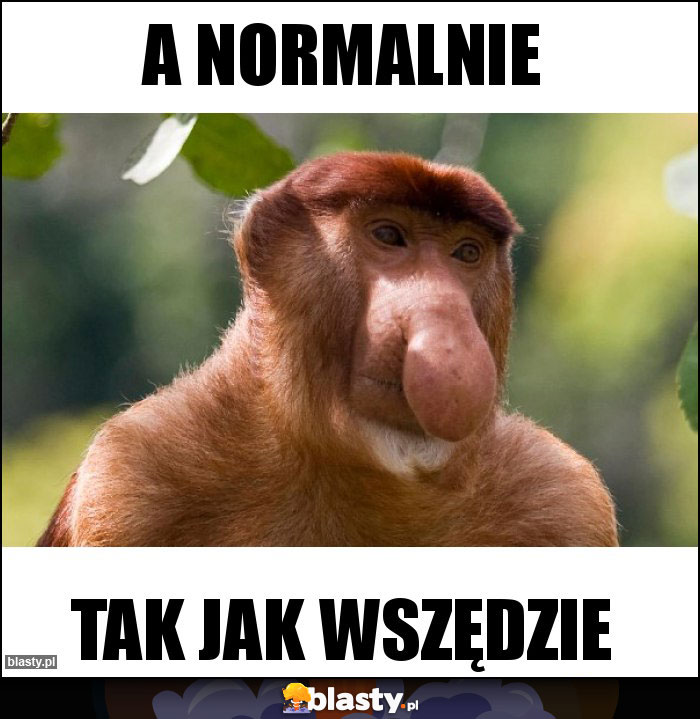 A Normalnie