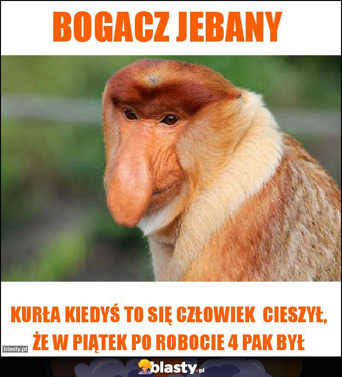 Bogacz jebany