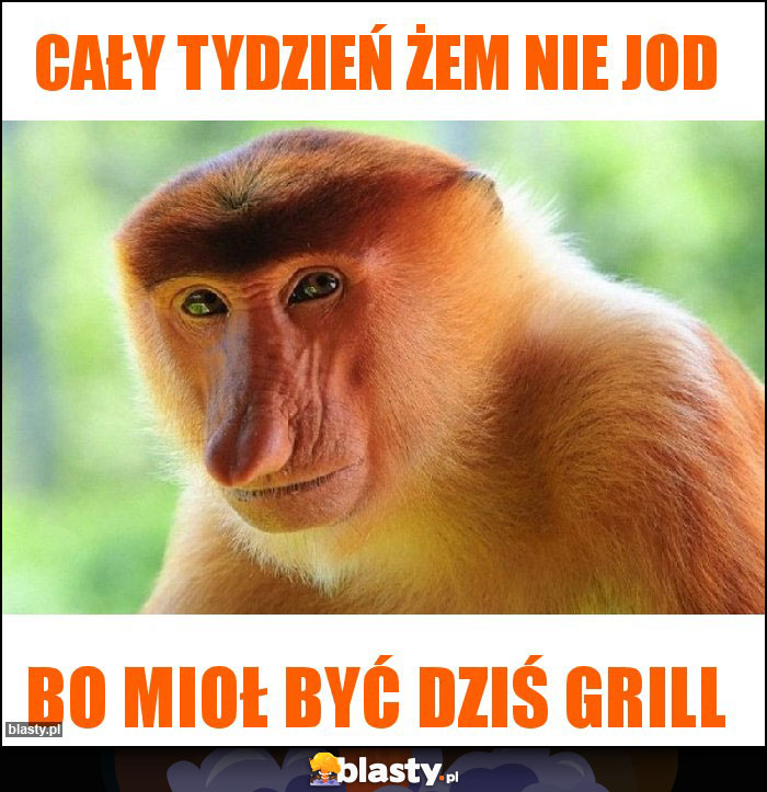 Cały tydzień żem nie jod