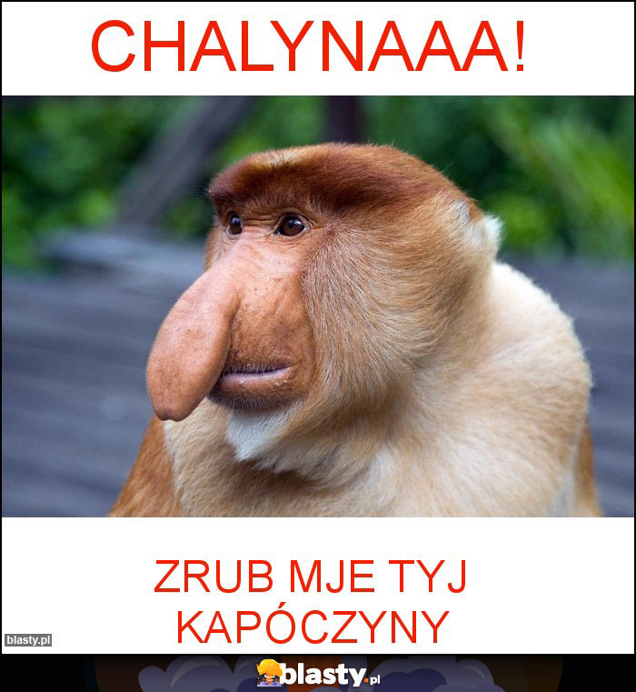 Chalynaaa!