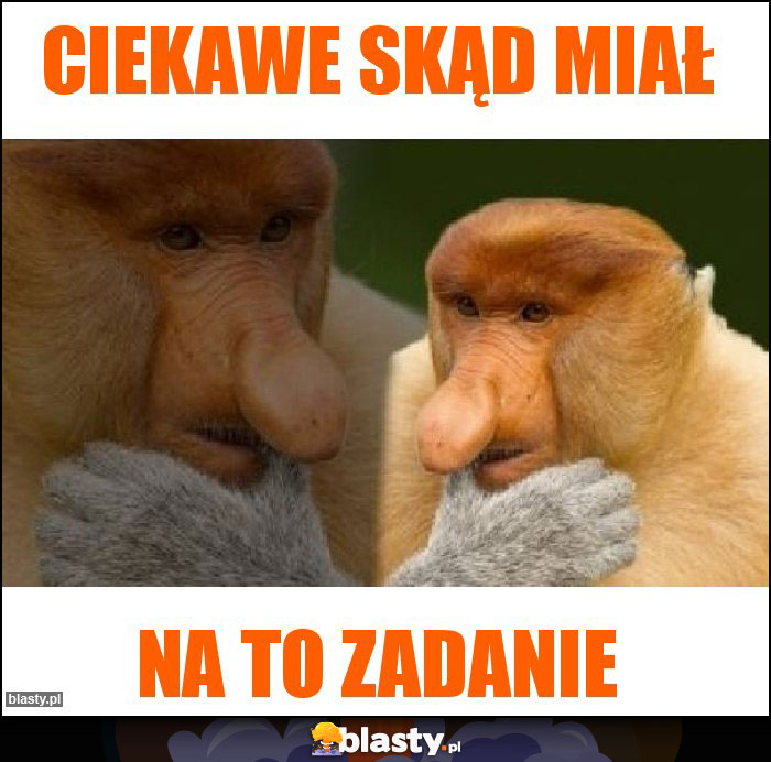 Ciekawe skąd miał