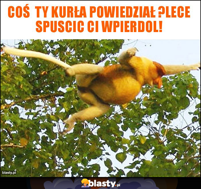 Coś  ty kurła powiedział ?lece spuscic ci wpierdol!