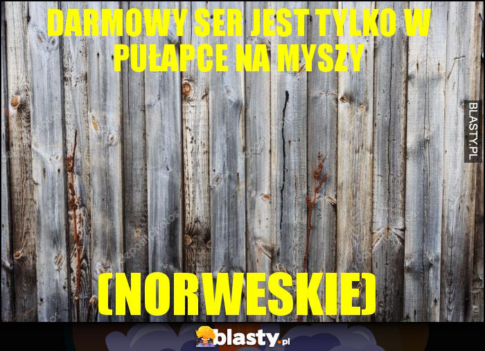 Darmowy ser jest tylko w pułapce na myszy