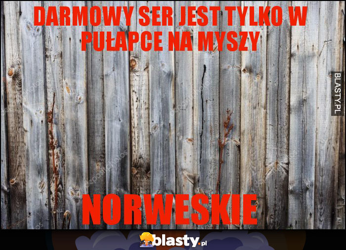 Darmowy ser jest tylko w pułapce na myszy