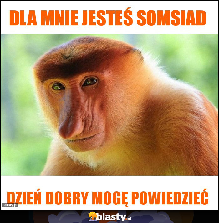 Dla mnie jesteś somsiad