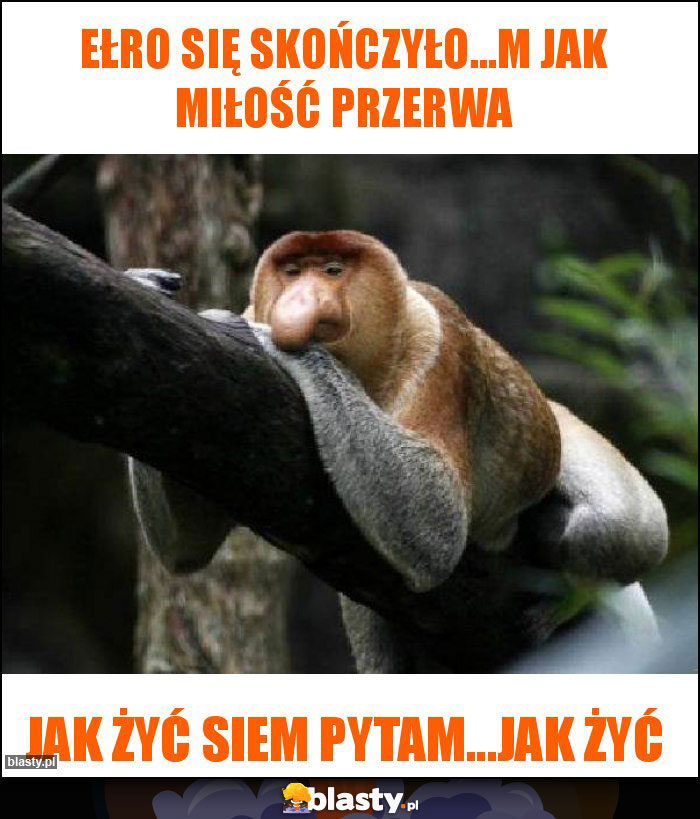 Ełro się skończyło...M jak miłość przerwa