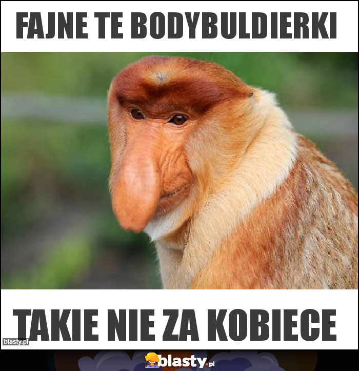 FAJNE TE BODYBULDIERKI