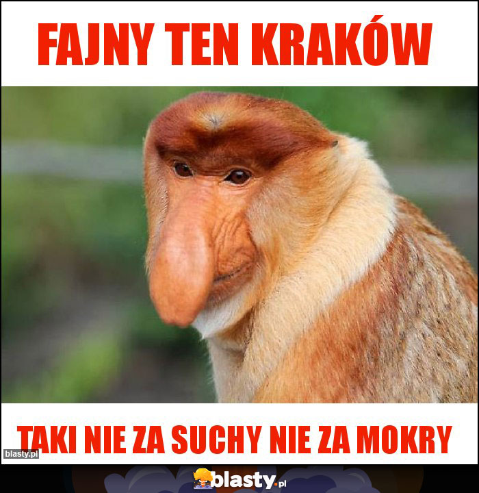 Fajny ten kraków