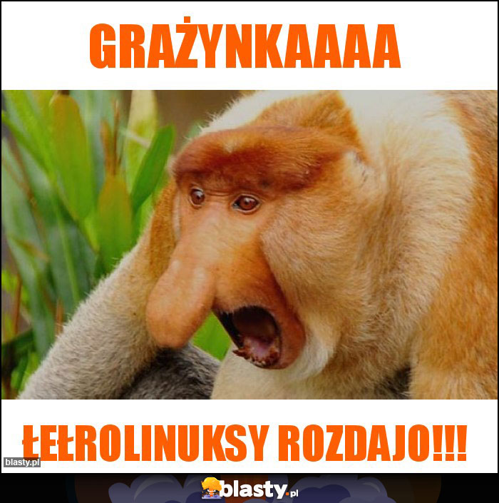 Grażynkaaaa