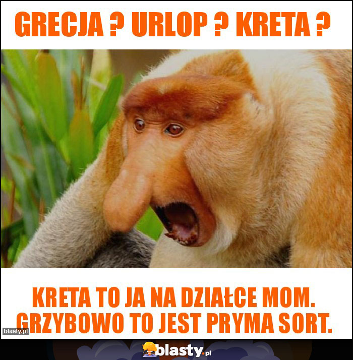 Grecja ? Urlop ? Kreta ?