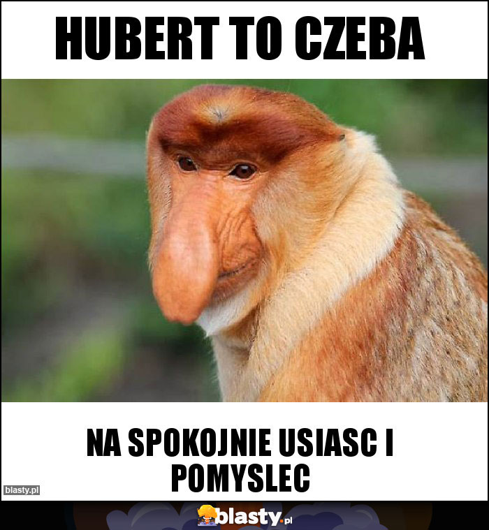 HUBERT TO CZEBA