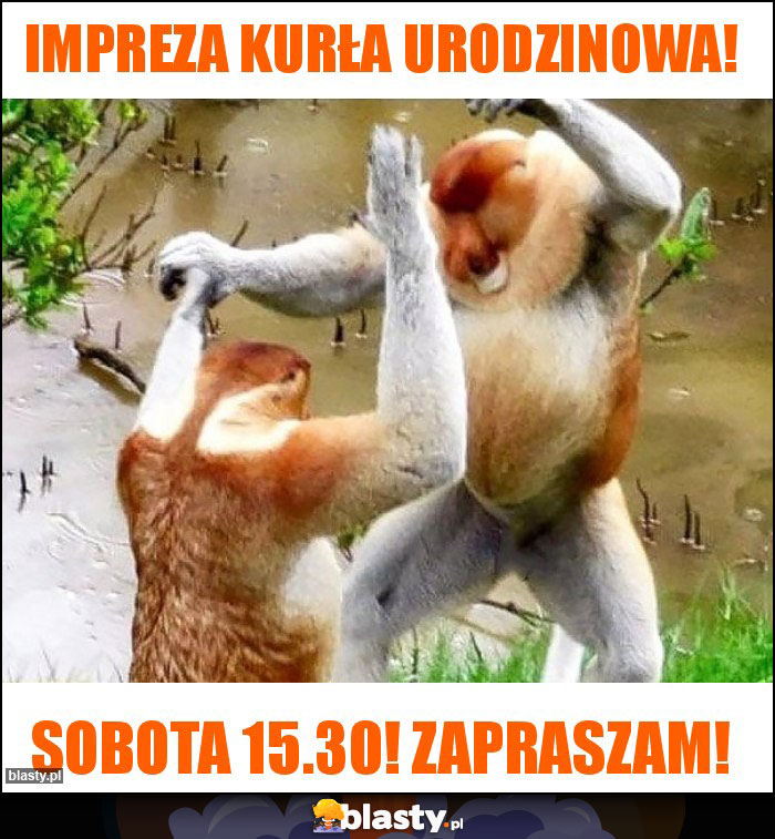 Impreza kurła urodzinowa!