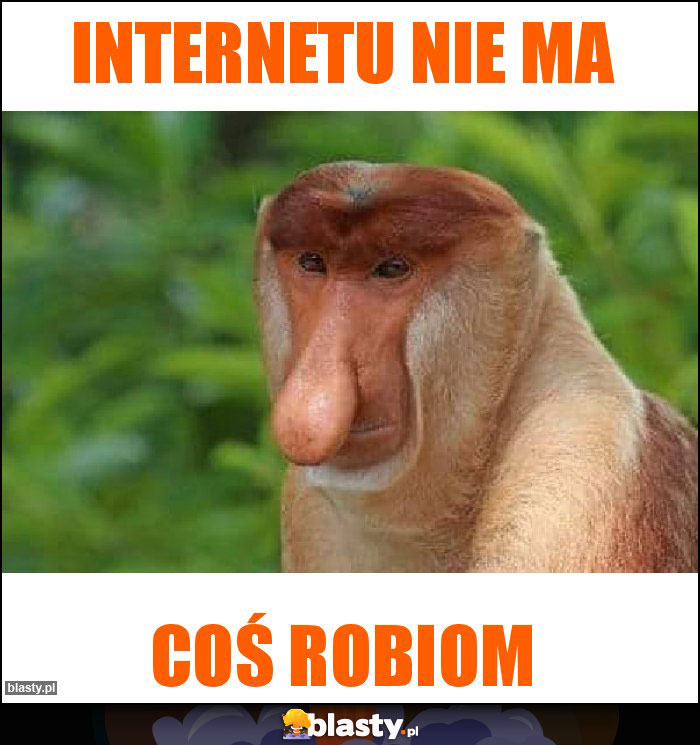 INTERNETU NIE MA