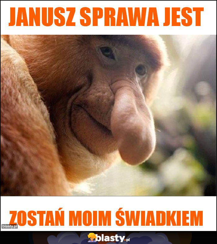 Janusz sprawa jest