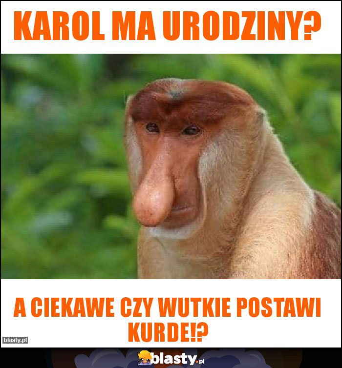 Karol Ma urodziny?