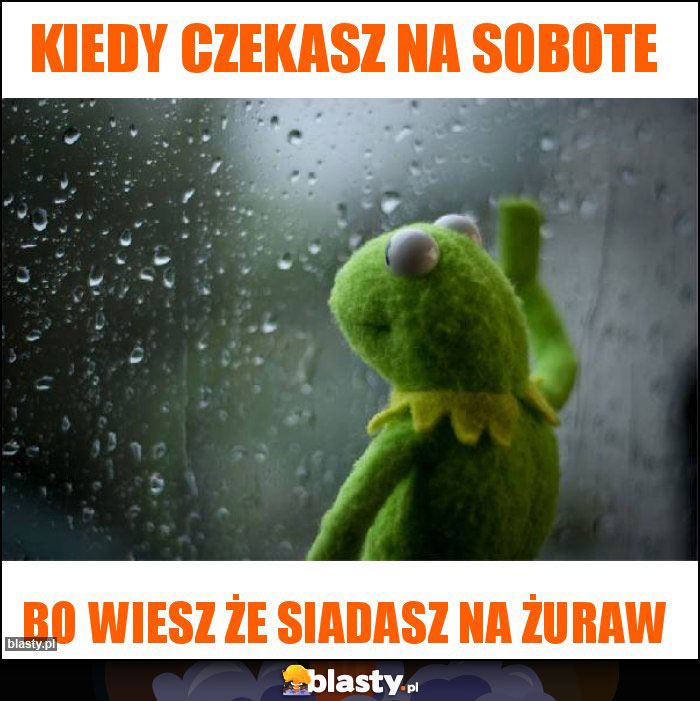 Kiedy czekasz na sobote