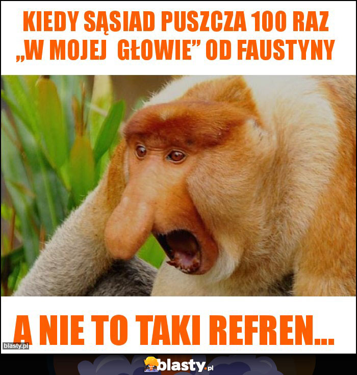 Kiedy sąsiad puszcza 100 raz „W mojej  głowie” od Faustyny