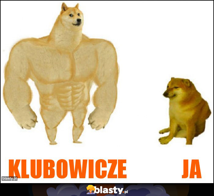 klubowicze             ja